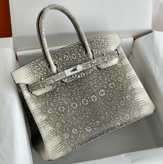 【エルメス HERMES】バーキン25 オンブレ リザードナチュラ シルバー金具(100%手縫い)